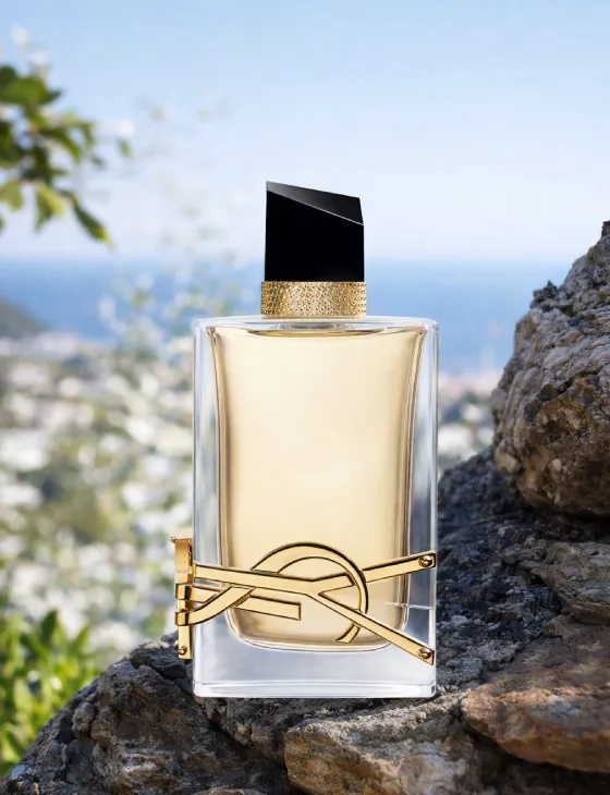 Yves Saint Laurent